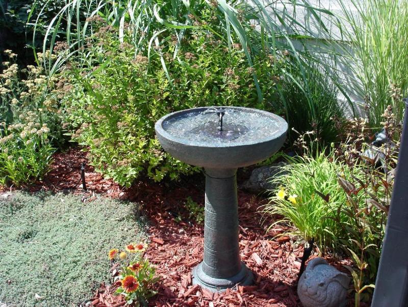 Bird water bath in the garden